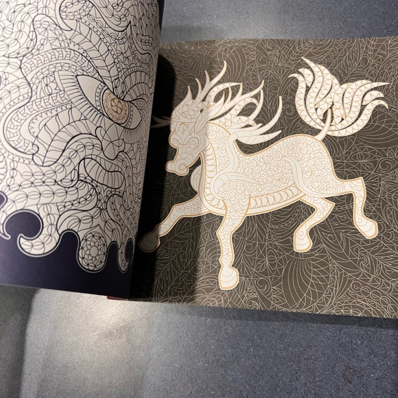 FABULOUS BEASTS:  Night and Day Adult Coloring Book  NEW - Picture 11 of 14